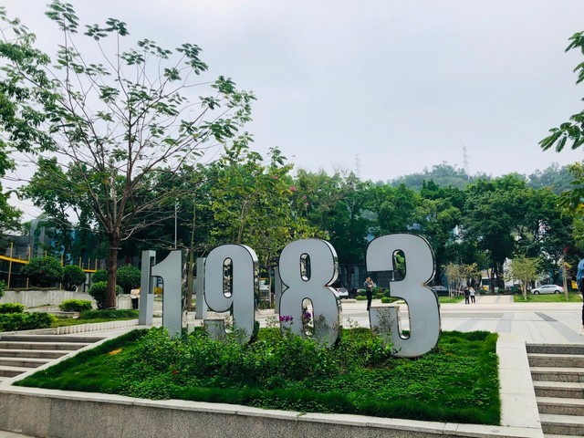 奉贤区沙发科技布