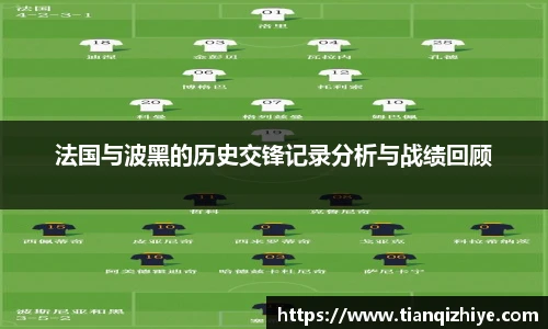 法国与波黑的历史交锋记录分析与战绩回顾