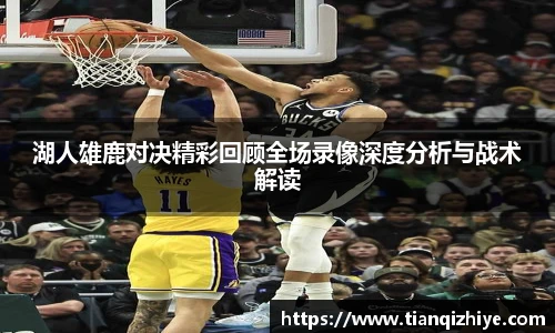 湖人雄鹿对决精彩回顾全场录像深度分析与战术解读
