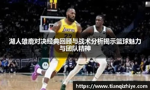 伟德官方湖人雄鹿对决经典回顾与战术分析揭示篮球魅力与团队精神